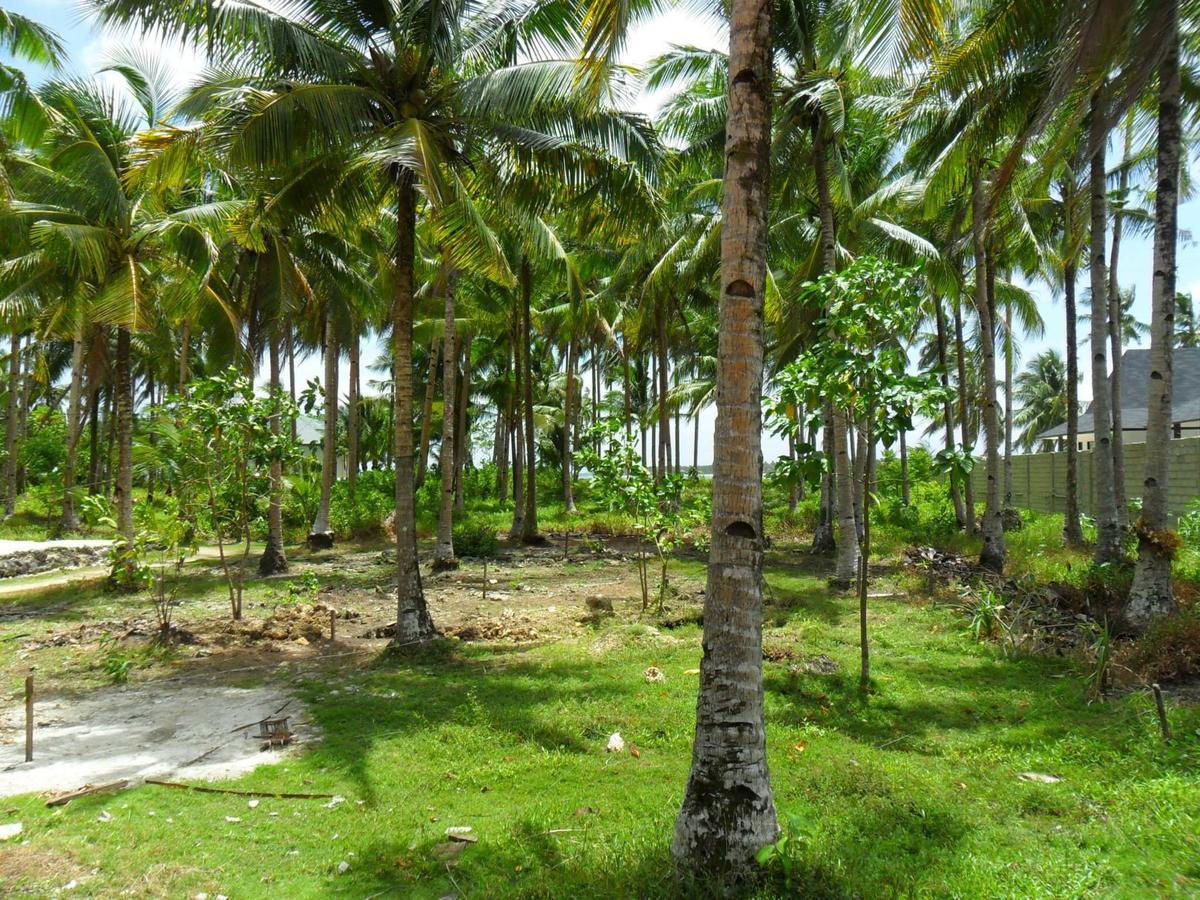 Union Siargao Residencyアパートメント エクステリア 写真